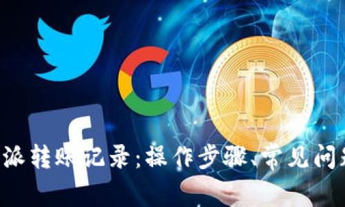 全面解析B特派转账记录:操作步骤、常见问题与注意事项