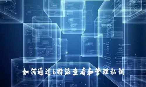 如何通过b特派查看和管理私钥