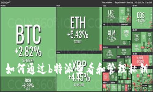 如何通过b特派查看和管理私钥