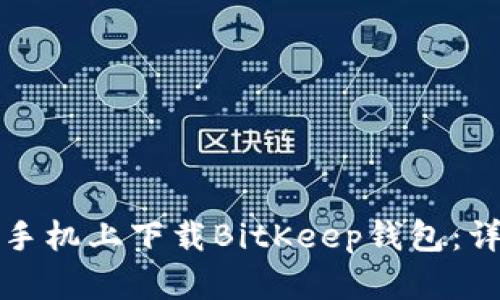 如何在手机上下载BitKeep钱包:详细指南