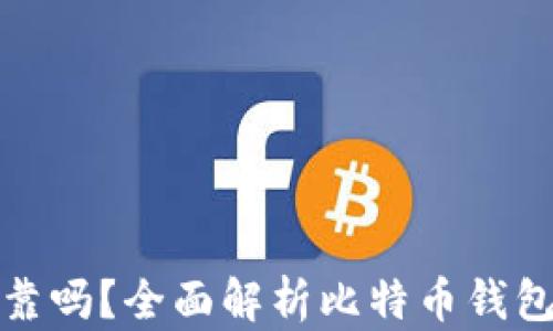比特派安全可靠吗?全面解析比特币钱包的使用与风险
