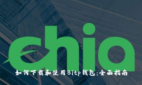 如何下载和使用Bitp钱包:全面指南
