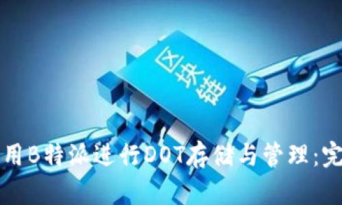 如何利用B特派进行DOT存储与管理:完整指南