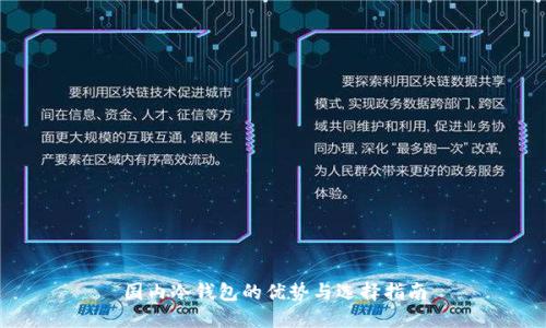 国内冷钱包的优势与选择指南