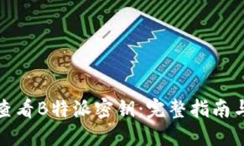 如何查看B特派密钥:完整指南与技巧