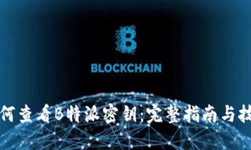 如何查看B特派密钥:完整指南与技巧