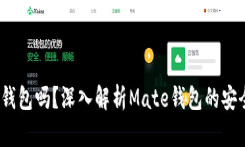 Mate钱包是冷钱包吗？深入解析Mate钱包的安全性与使用场景