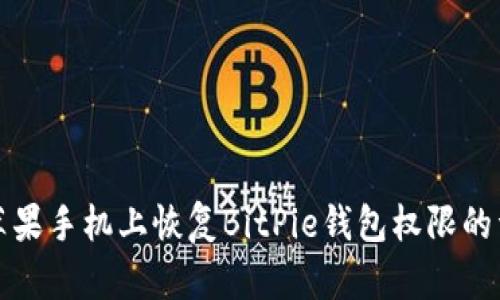 如何在苹果手机上恢复BitPie钱包权限的详细指南