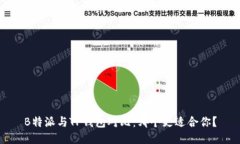 B特派与TP钱包对比：哪个