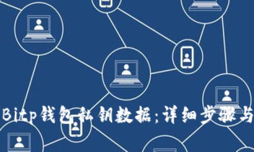 如何导出Bitp钱包私钥数据：详细步骤与注意事项