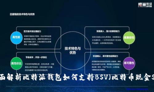 全面解析比特派钱包如何支持BSV(比特币现金SV)