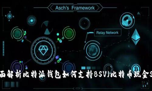 全面解析比特派钱包如何支持BSV(比特币现金SV)