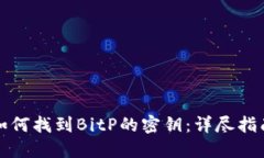 如何找到BitP的密钥：详尽