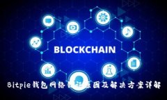 Bitpie钱包网络错误原因及