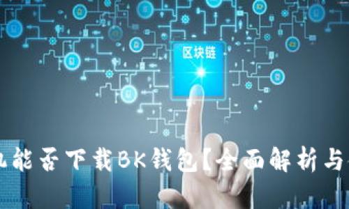 苹果手机能否下载BK钱包?全面解析与使用指南