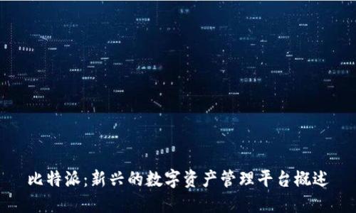 比特派:新兴的数字资产管理平台概述