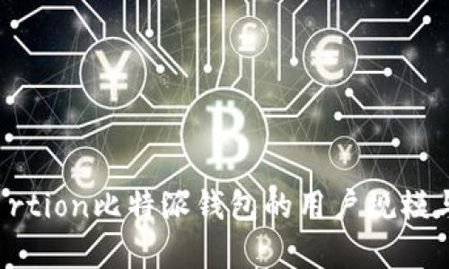 framförtion比特派钱包的用户规模与市场分析