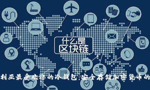 探索尼日利亚最受欢迎的冷钱包:安全存储加密货币的最佳选择
