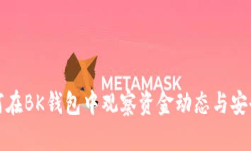 如何在BK钱包中观察资金动态与安全性