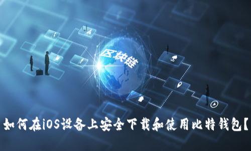 如何在iOS设备上安全下载和使用比特钱包?