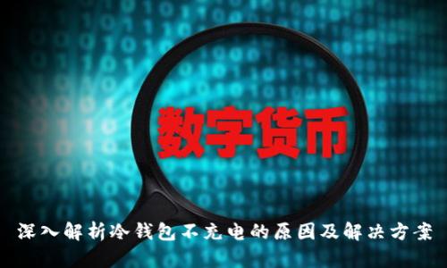 深入解析冷钱包不充电的原因及解决方案