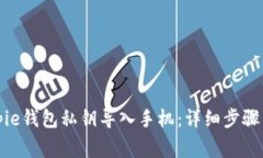 如何将Bitpie钱包私钥导入