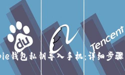 如何将Bitpie钱包私钥导入手机:详细步骤与注意事项