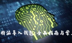 如何使用B特派导入钱包：