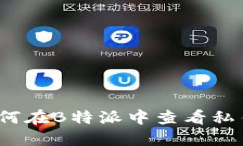 如何在B特派中查看私钥?