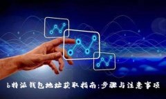b特派钱包地址获取指南：