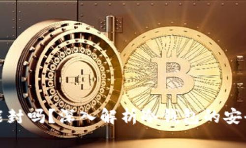 冷钱包地址能封吗?深入解析冷钱包的安全性与可控性