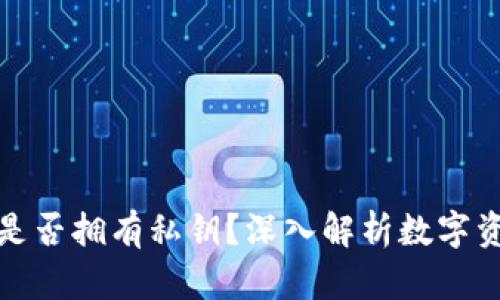 比特派钱包是否拥有私钥?深入解析数字资产的安全性