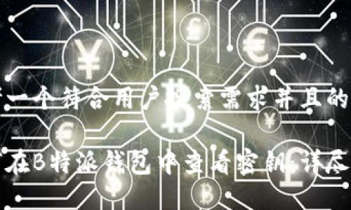 思考一个符合用户搜索需求并且的
如何在B特派钱包中查看密钥:详尽指南