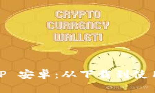 全面解析BitP 安卓:从下载到使用的详尽指南