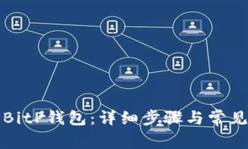 如何安装BitP钱包:详细步骤与常见问题解答