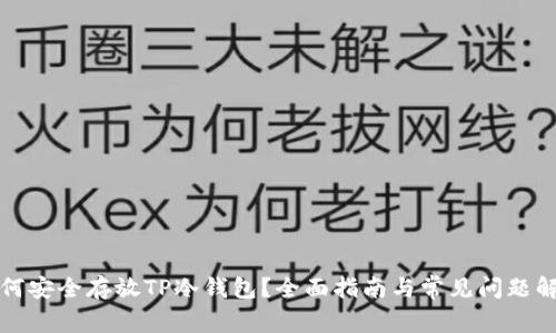 如何安全存放TP冷钱包?全面指南与常见问题解答