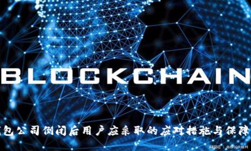 冷钱包公司倒闭后用户应采取的应对措施与保障方案