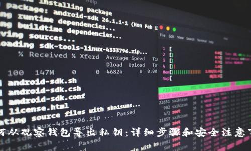 如何从观察钱包导出私钥:详细步骤和安全注意事项