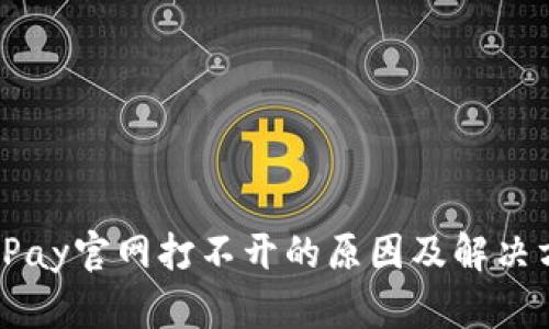 BitPay官网打不开的原因及解决方法