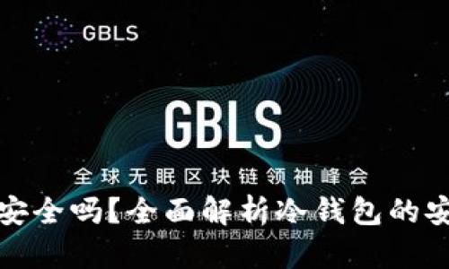 货币冷钱包安全吗?全面解析冷钱包的安全性与风险