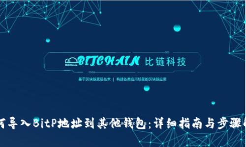 如何导入BitP地址到其他钱包:详细指南与步骤解析