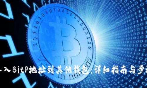 如何导入BitP地址到其他钱包:详细指南与步骤解析