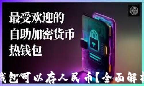 哪个冷钱包可以存人民币?全面解析与推荐