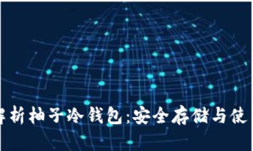 全面解析柚子冷钱包:安全存储与使用技巧