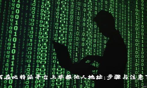 如何在比特派平台上举报他人地址:步骤与注意事项