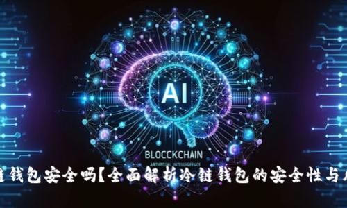 冷链钱包安全吗?全面解析冷链钱包的安全性与风险