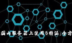 如何在国内服务器上使用