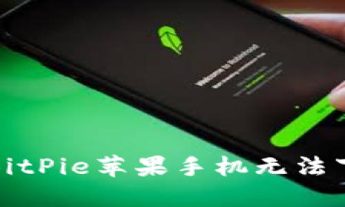 如何解决BitPie苹果手机无法下载的问题