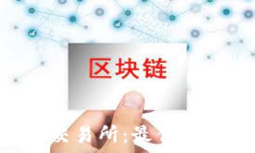 USDT TRC20交易所:最佳选项与使用指南