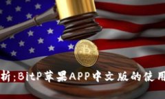 全面解析：BitP苹果APP中文